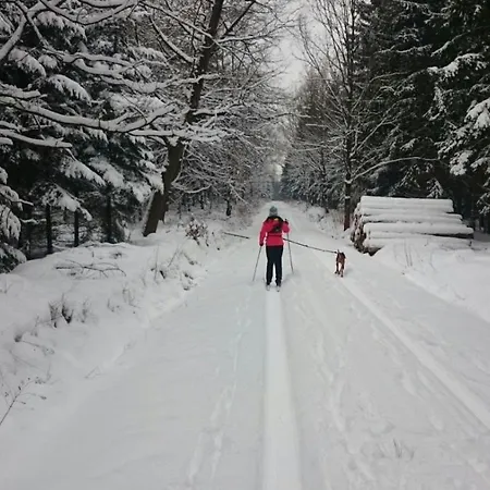 Urlaubsdomizil Am Toepfer - In דירה Olbersdorf