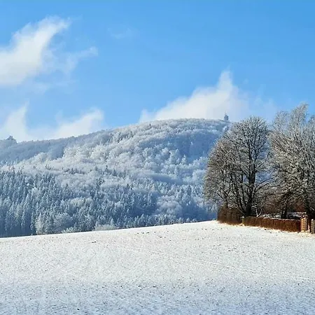 Urlaubsdomizil Am Toepfer - In 公寓