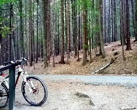 Διαμέρισμα Urlaubsdomizil Am Toepfer - In Olbersdorf